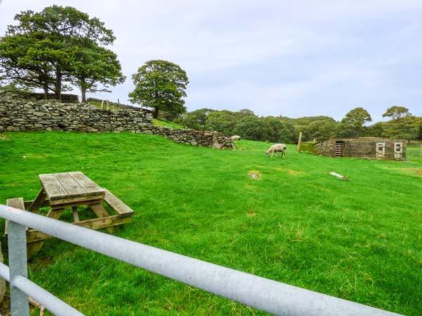 Y Bwthyn Villa Llanbedr  Exteriör bild